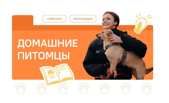 Домашние питомцы.